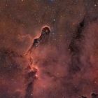 Nebulosa Proboscide di Elefante