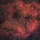 Nebulosa Proboscide di Elefante