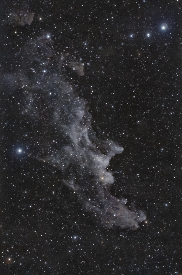 Nebulosa Testa di Strega