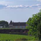 Nec plus ultra  -  Château d’Yquem