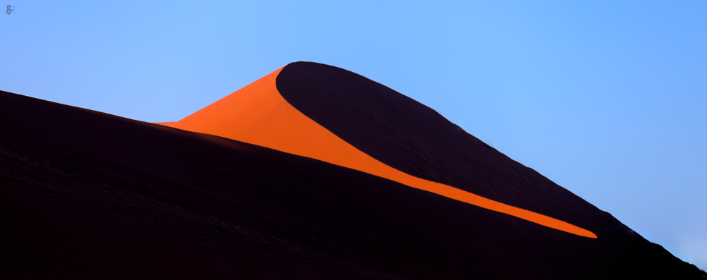 neck tie desert