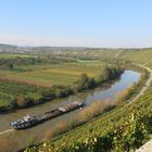 Neckar bei den Besigheimer Felsengärten