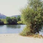 Neckar bei Gundelsheim