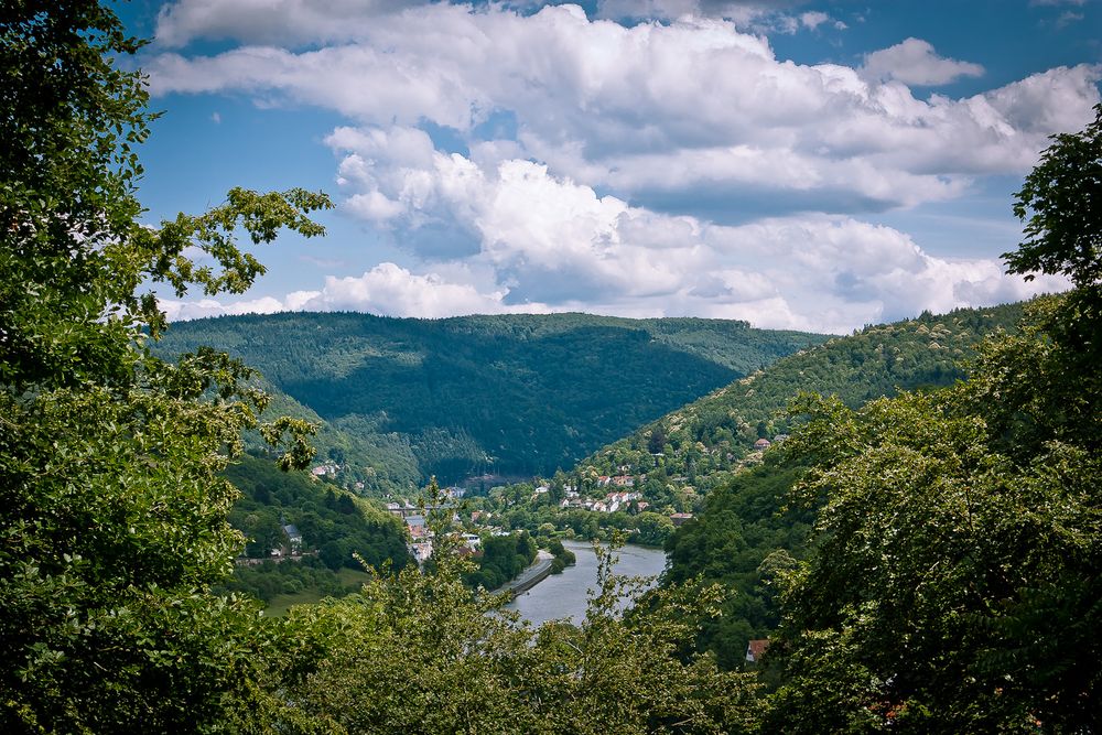 Neckar bei Heidelberg 1