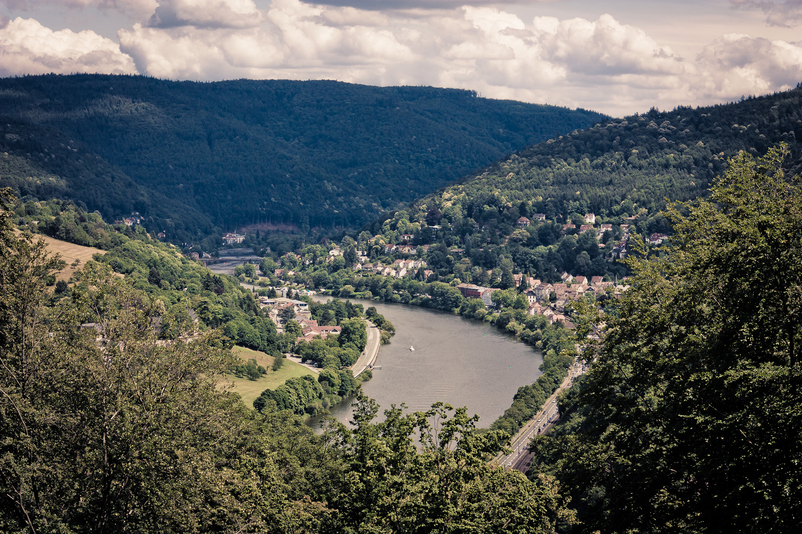 Neckar bei Heidelberg 2