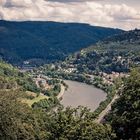 Neckar bei Heidelberg 2