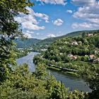 Neckar bei Heidelberg 4