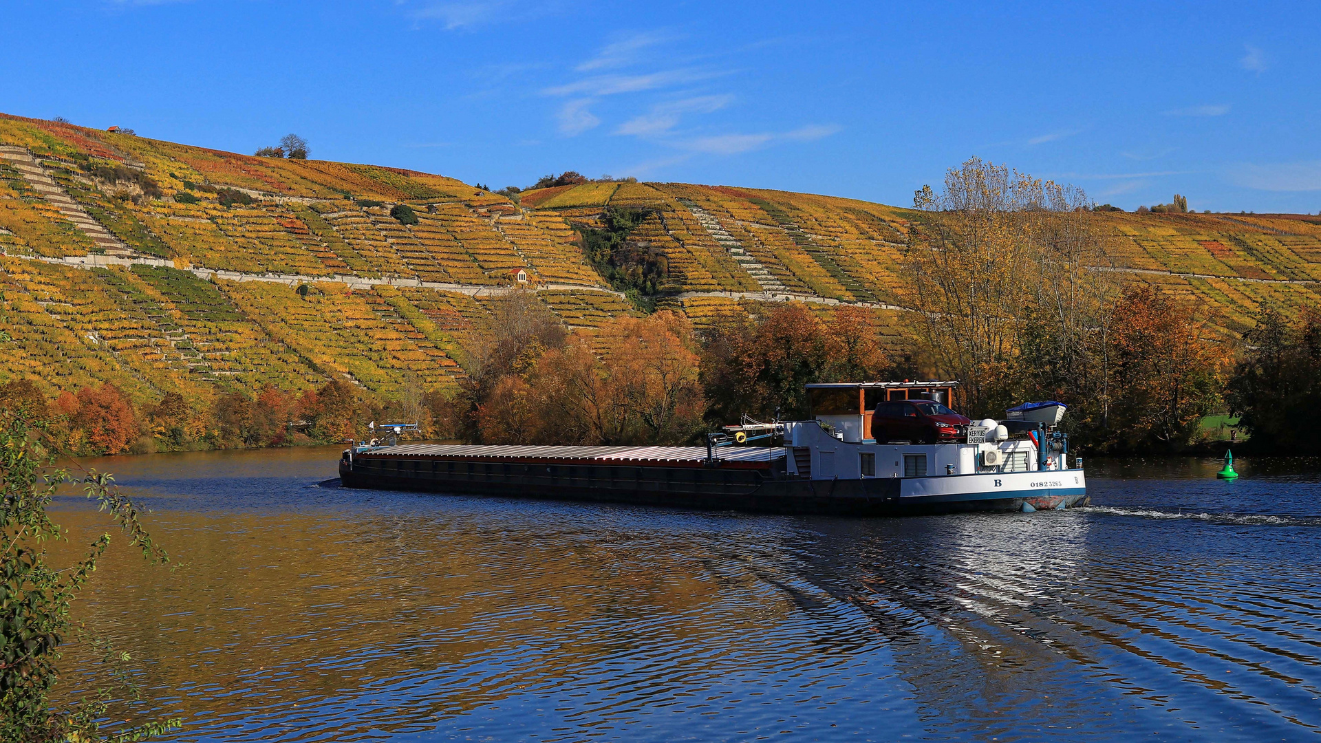 Neckar bei Hessigheim