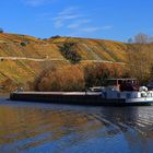 Neckar bei Hessigheim