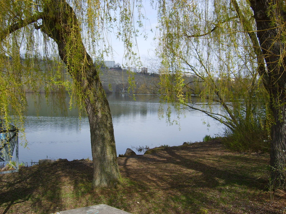 Neckar bei Stuttgart