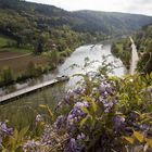 Neckar bei Zwingenberg