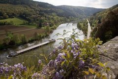 Neckar bei Zwingenberg