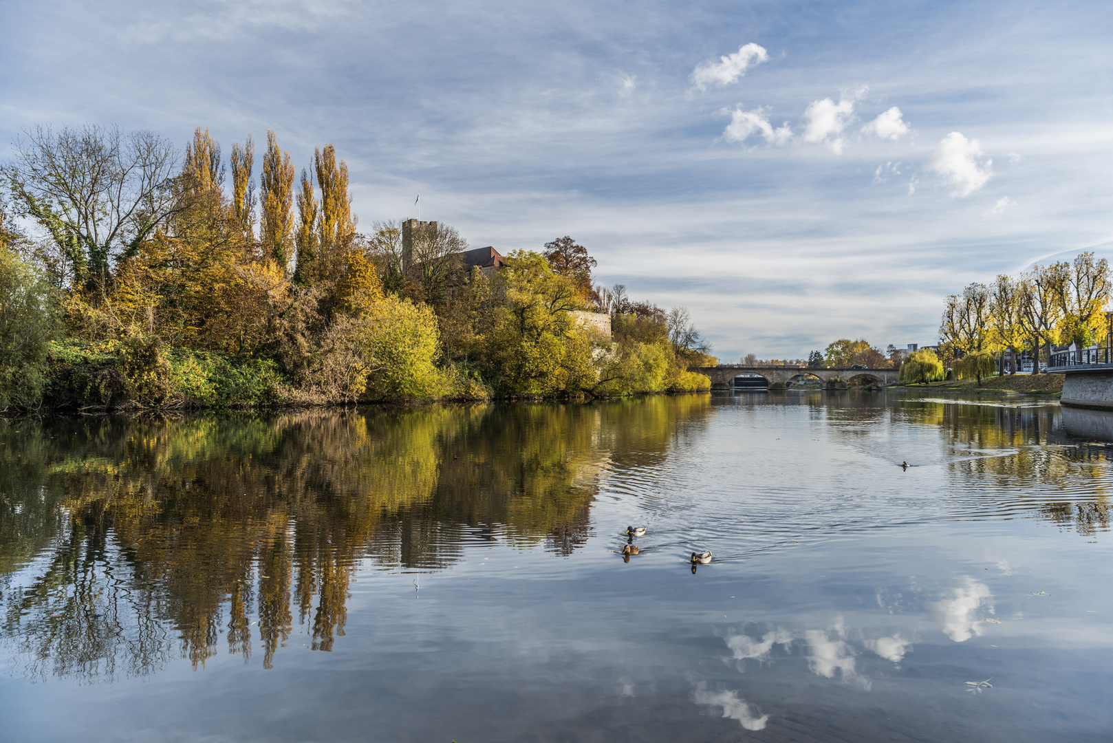 *Neckar-Idylle*