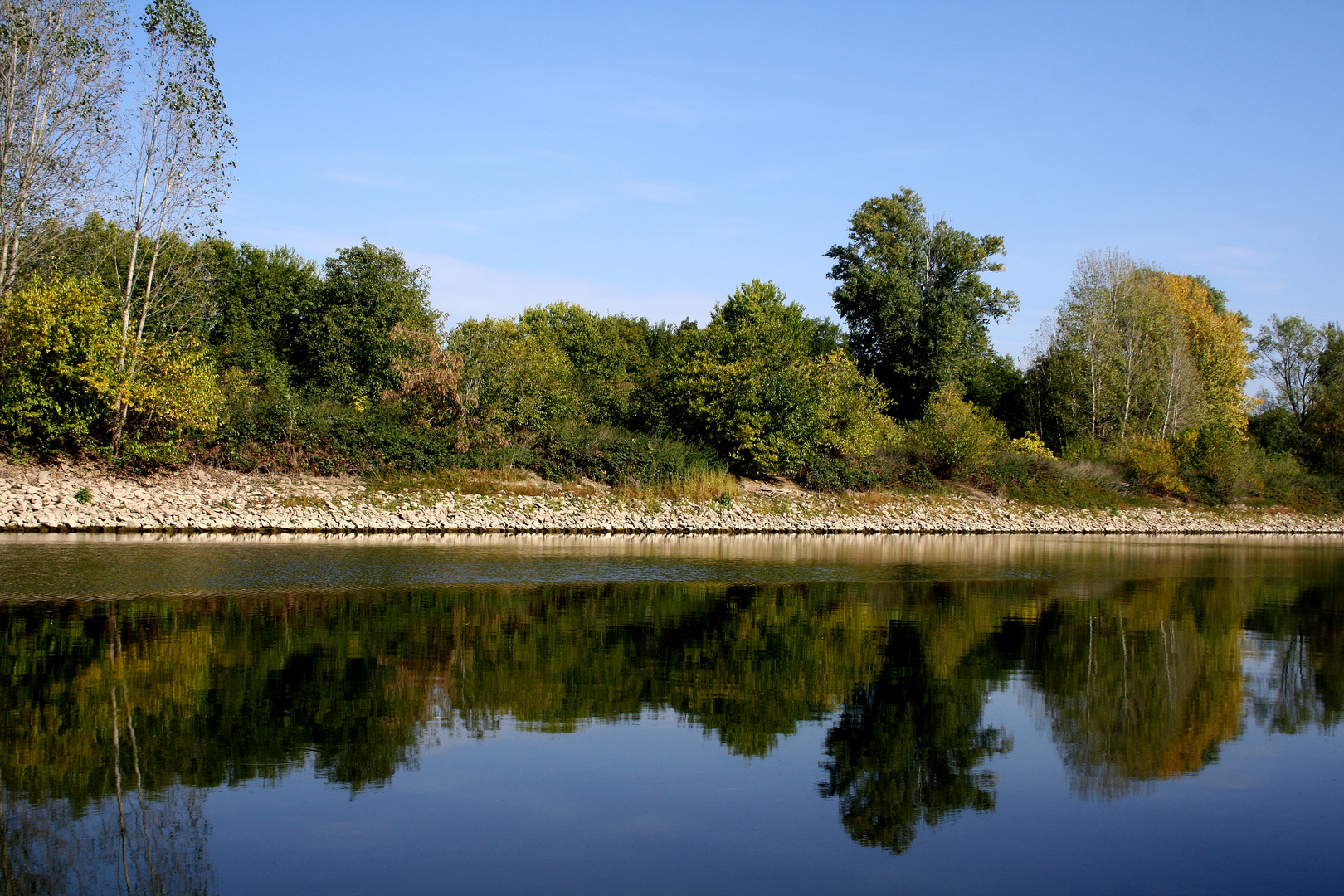 Neckar im Herbst