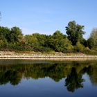 Neckar im Herbst