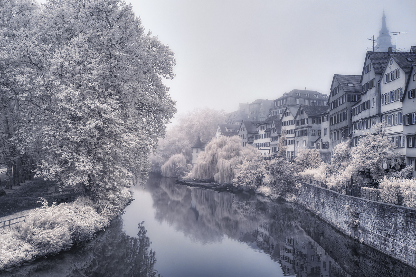 Neckar im Nebel [IR]