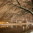 Neckar im Schnee