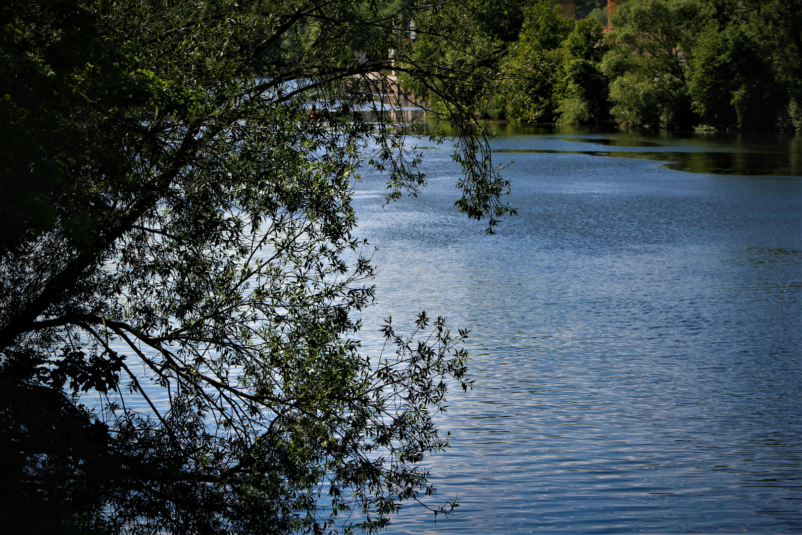 Neckar Impressionen im Mai