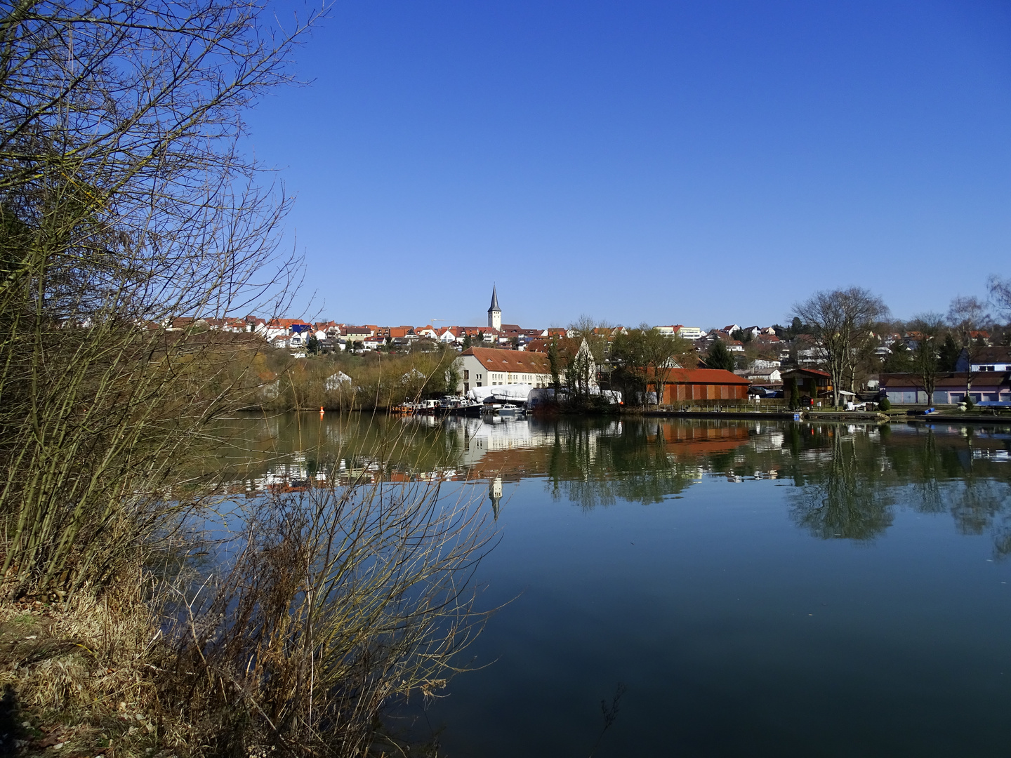 Neckar-Landschaft