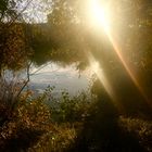 Neckar Landschaften im  Nachmittag s Licht 