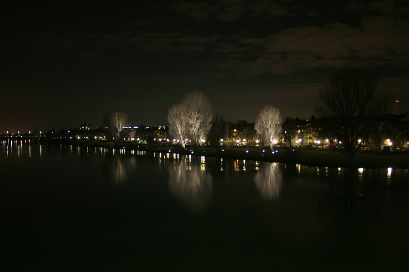 Neckar mit Gebäums