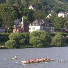 Neckar river
