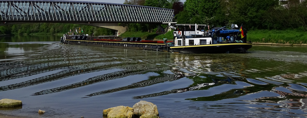 Neckar Schifffahrt