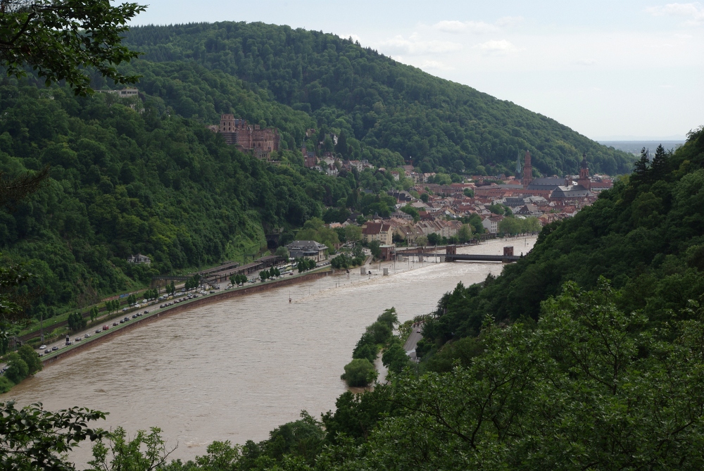 Neckar, Schloß und Altstadt