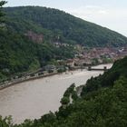 Neckar, Schloß und Altstadt