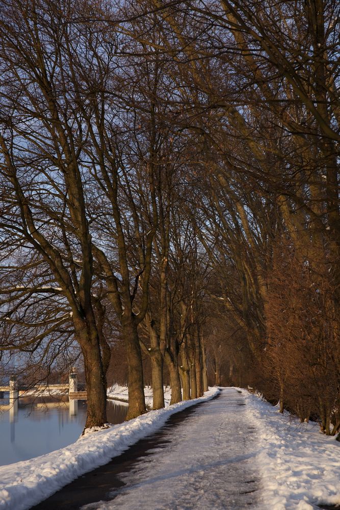 Neckar-Spazierweg im Winter