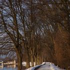Neckar-Spazierweg im Winter