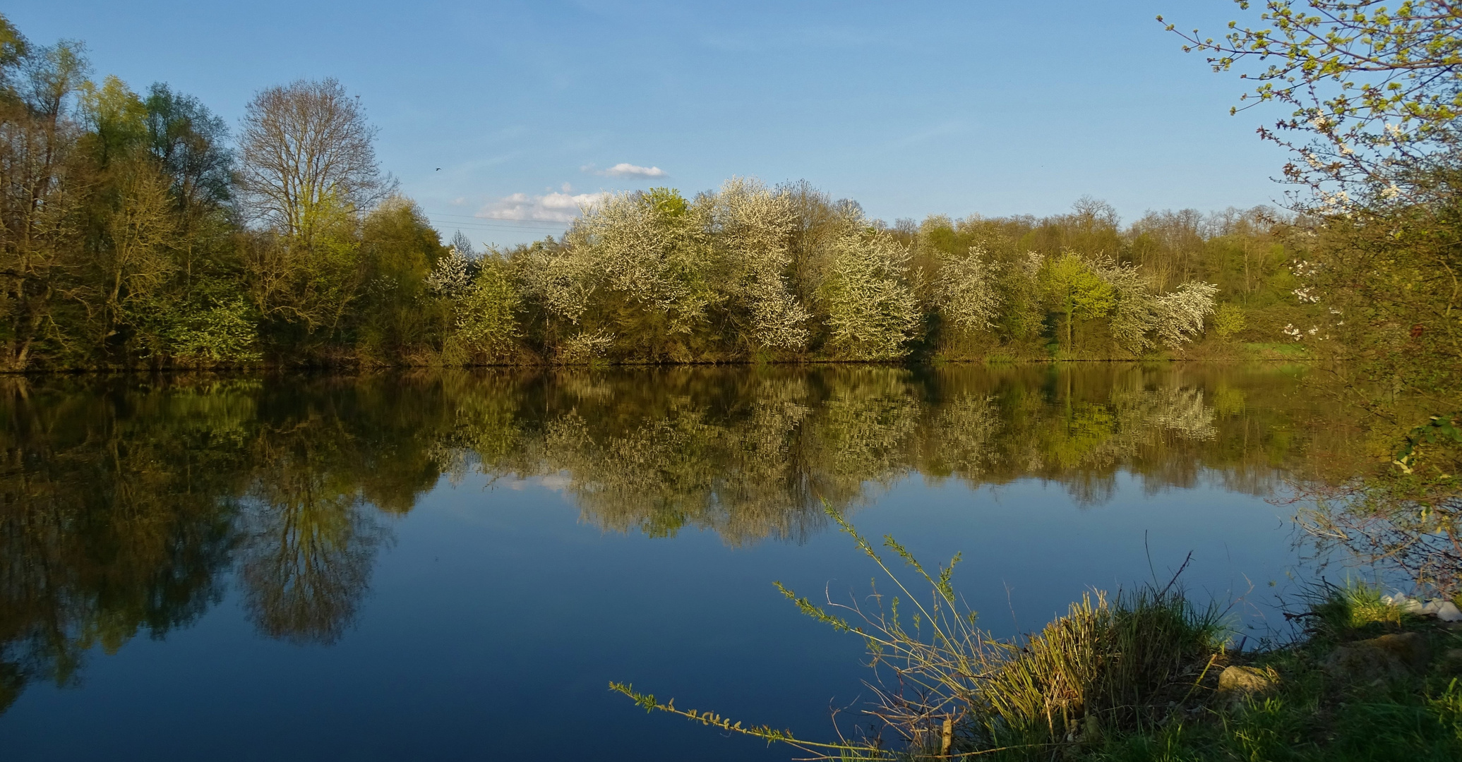 Neckar-Spiegeltag