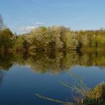 Neckar-Spiegeltag