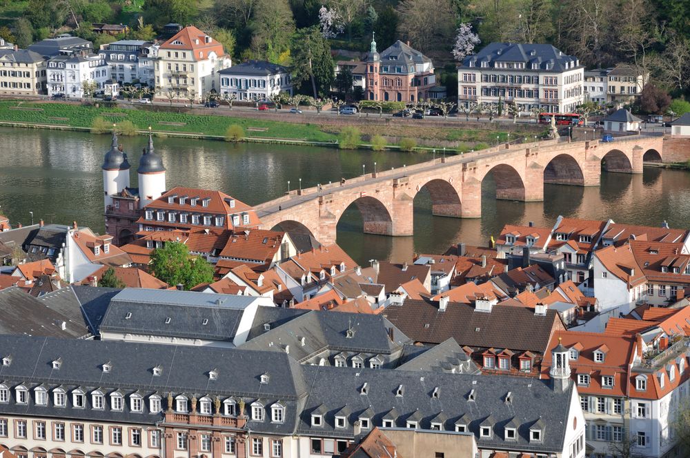 Neckar und Alte Brücke