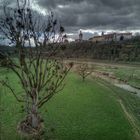 Neckarauen mit Blick auf Bad Wimpfen 