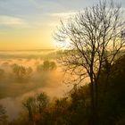 Neckarblick Herbst