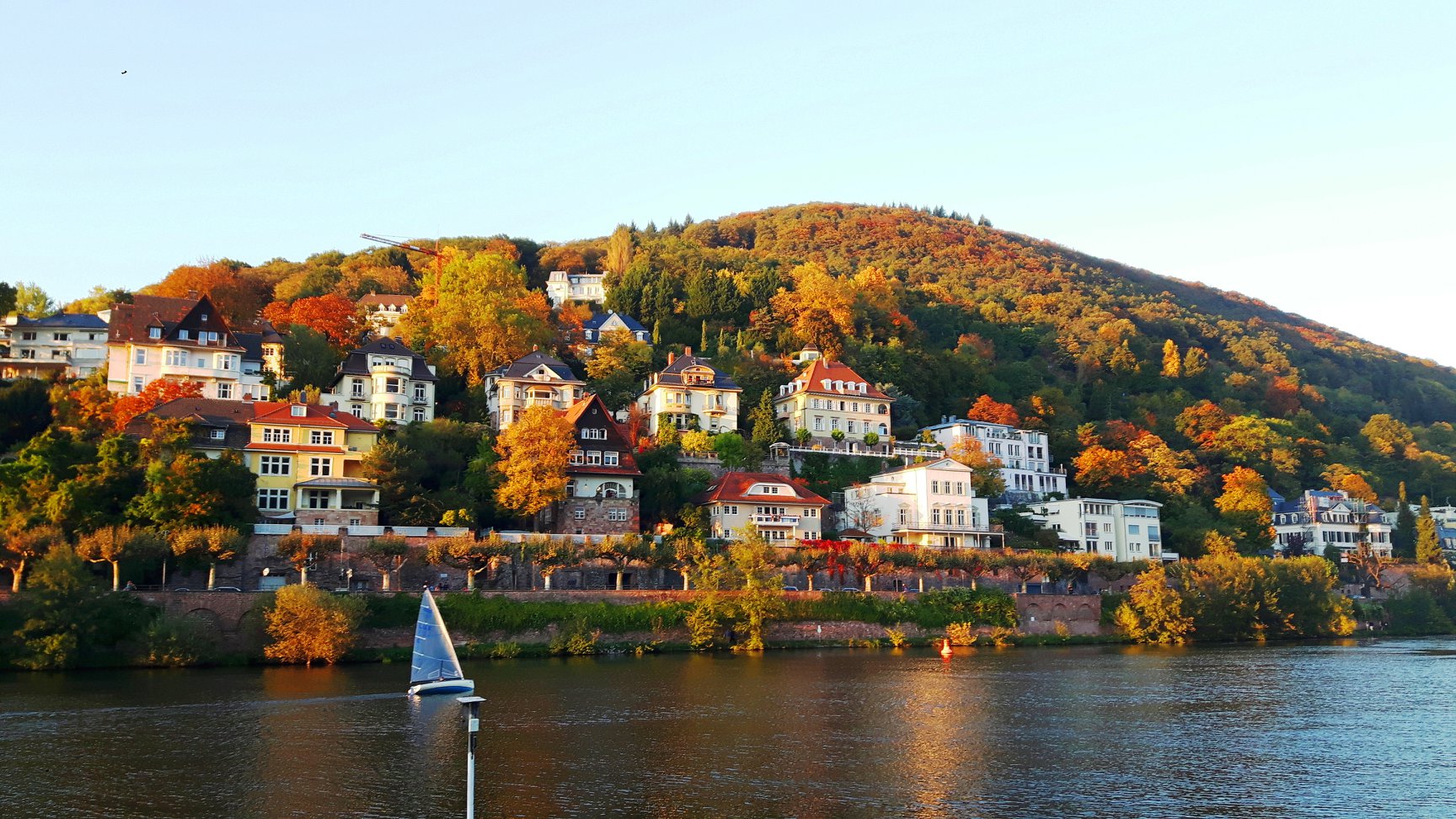 Neckarblick - Neuenhheim, Heidelberg
