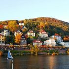 Neckarblick - Neuenhheim, Heidelberg