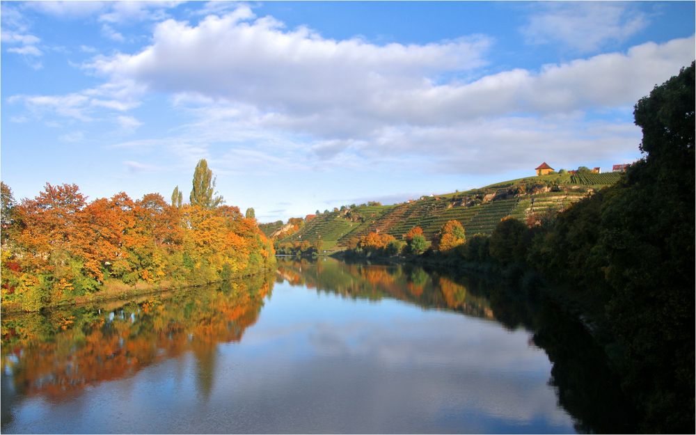 NECKARBRÜCKEN-HERBSTBLUES