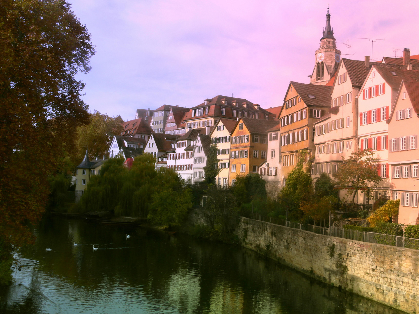 Neckarfront Foto & Bild architektur, tübingen, motive Bilder auf