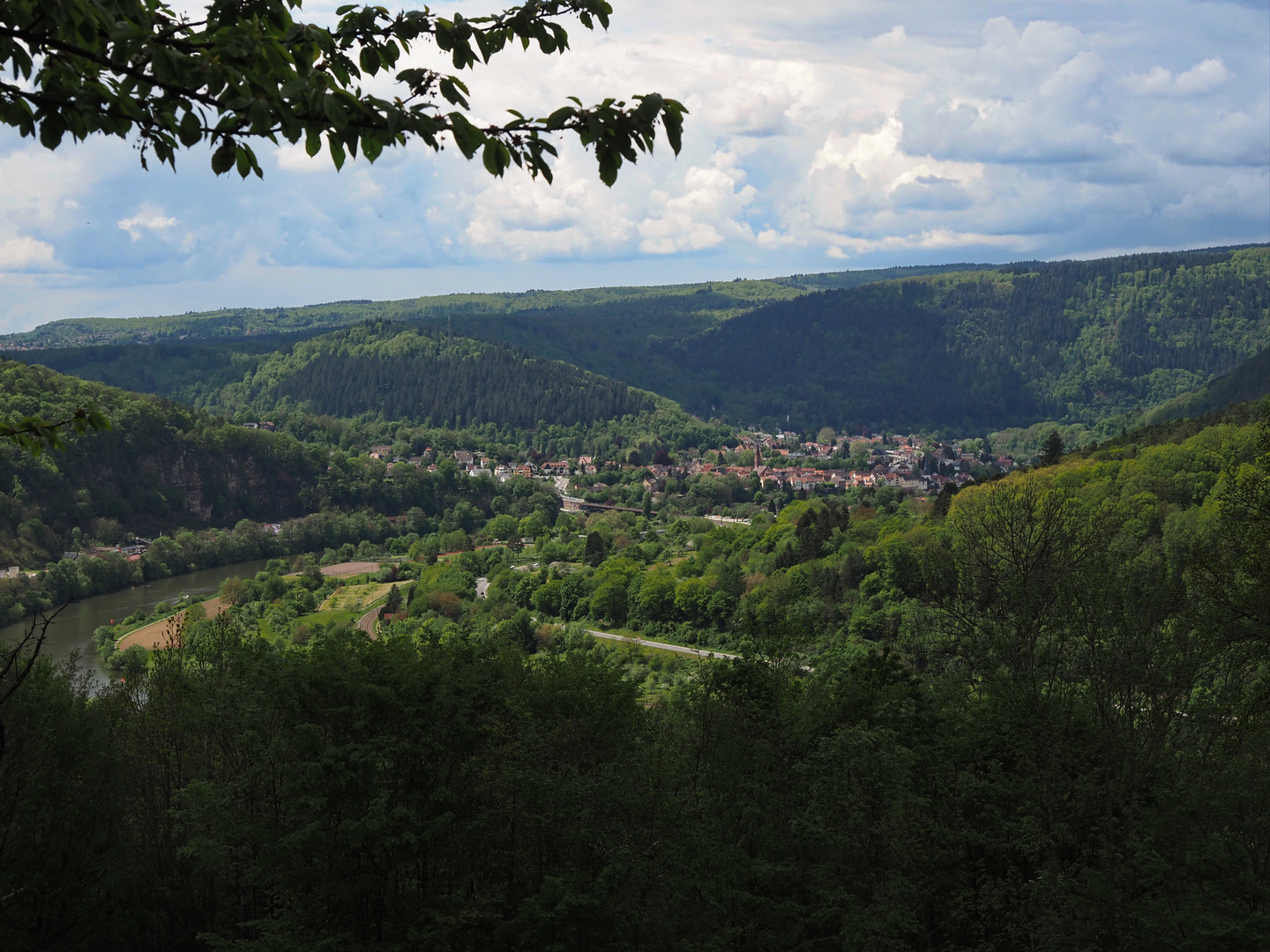 Neckargemünd