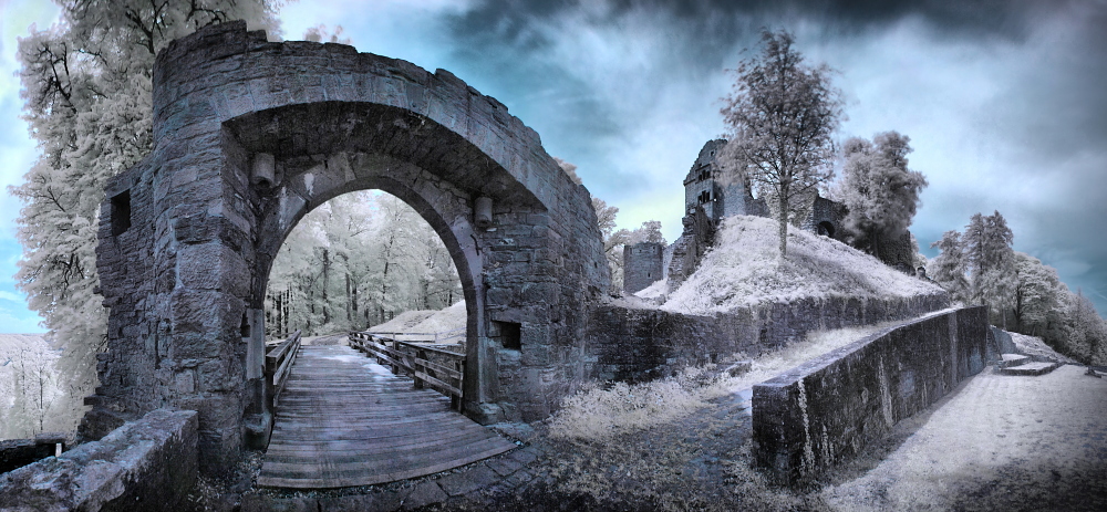 Neckargerach - Ruine Minneburg