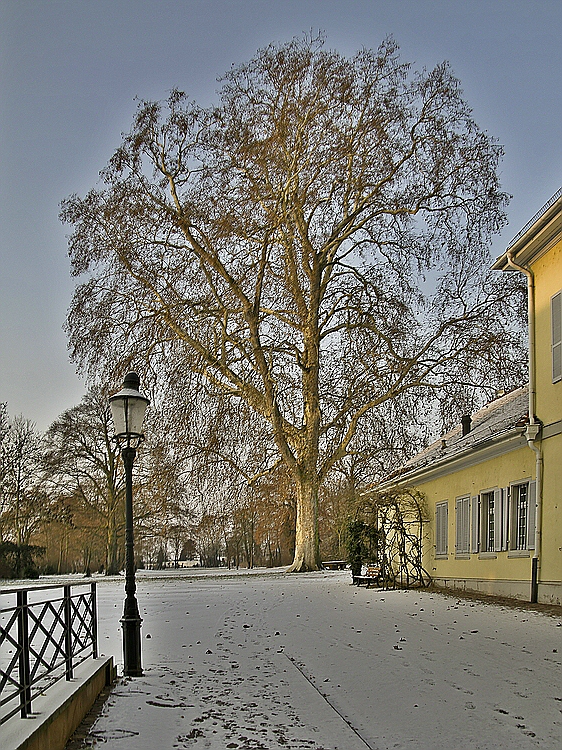 Neckarhausen Schloss