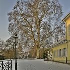 Neckarhausen Schloss