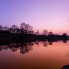 Neckarkanal in Gold-N-Blue