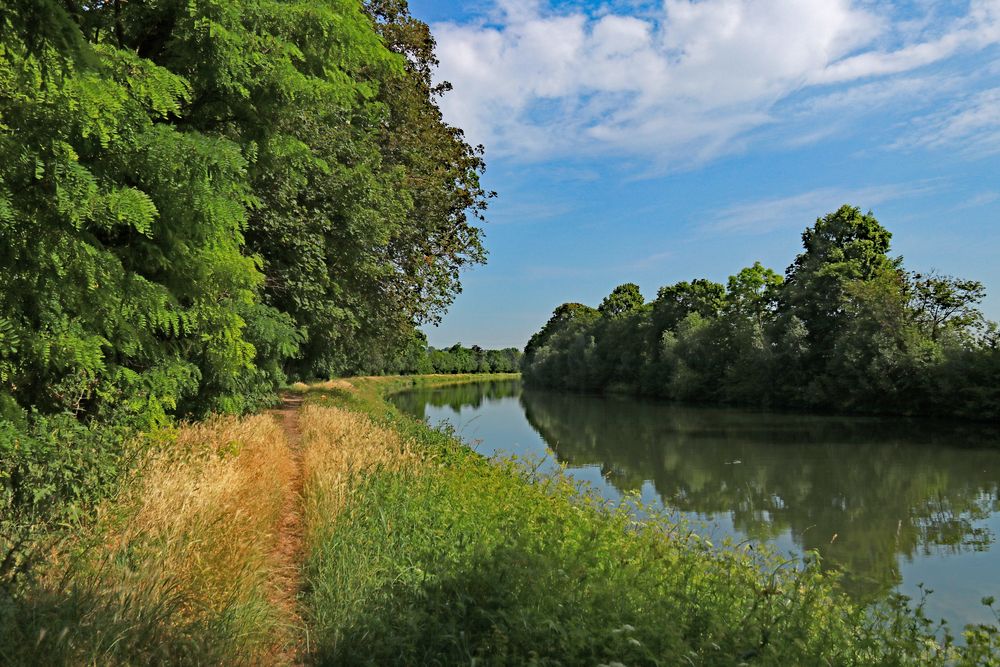 Neckarkanal vor Schleuse Horkheim