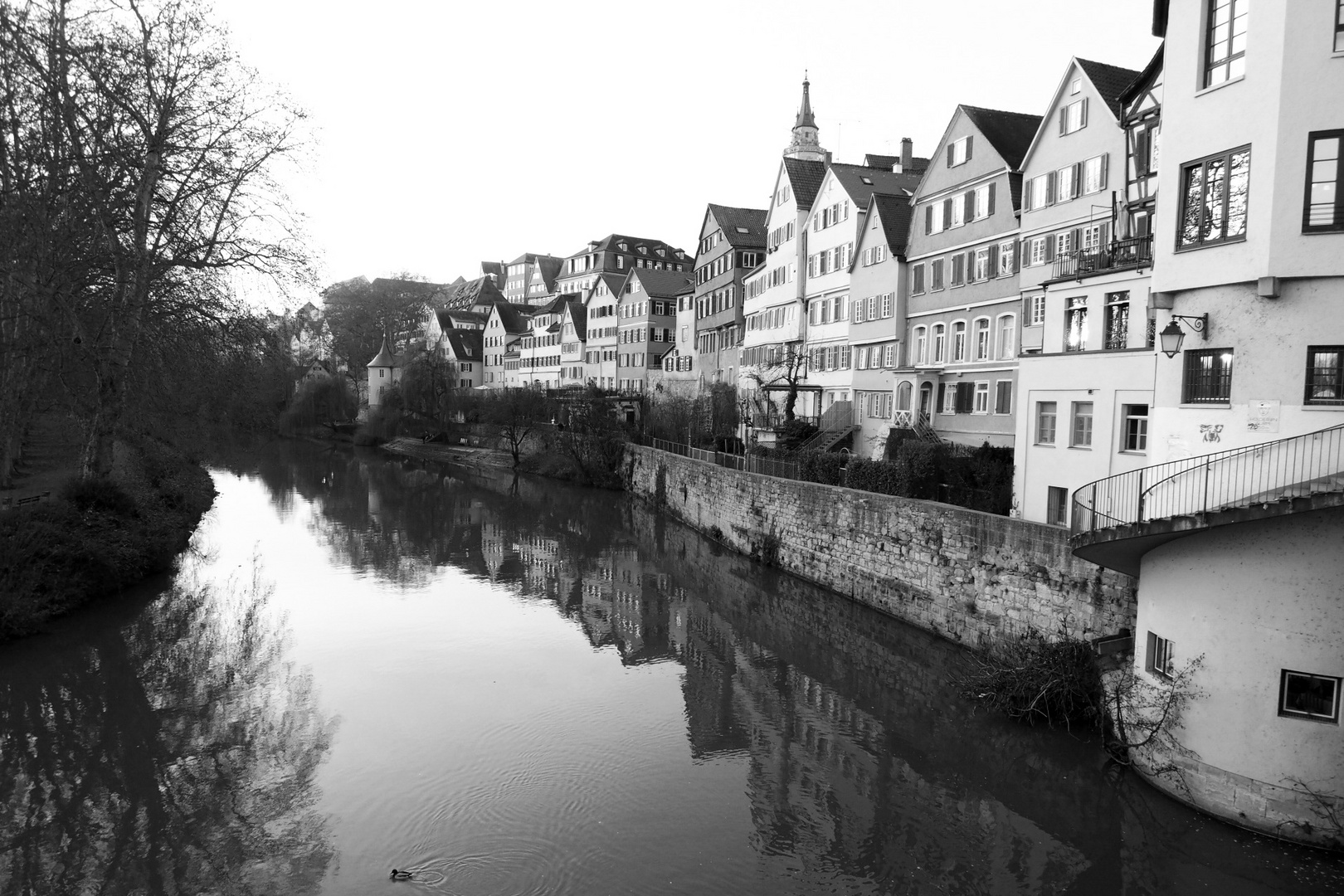 Neckarmauer Tübingen