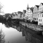 Neckarmauer Tübingen