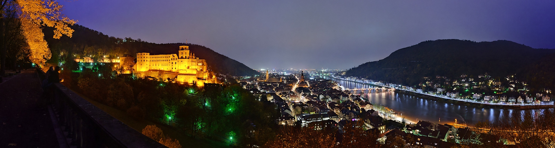 Neckarpanorama im tristen Novembergrau