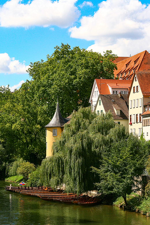 Neckarpartie Tübingen 04